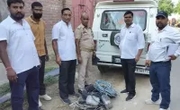 फिरोजाबाद: 11.50 लाख के 20 बकायदारों के कनेक्शन काटे, दो के मीटर उखाड़े