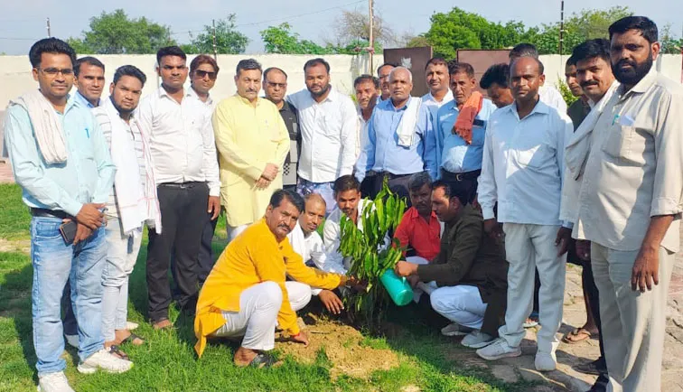 फिरोजाबाद: एक पेड माॅ के नाम अभियान के अंतर्गत भाजपा कार्यालय पर किया गया वृक्षारोपण