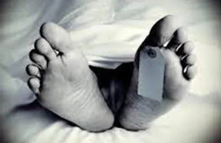 फिरोजाबाद: बकरी चराने गई महिला का चरी के खेत में मिला शव