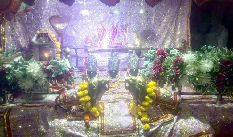 फिरोजाबाद: चलों बुलावा आया है माता ने बुलाया है.........