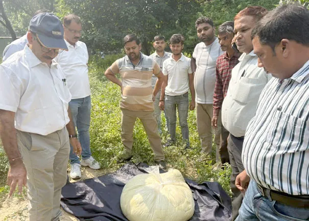 फिरोजाबाद: खाद्य विभाग की टीम ने मिलावटी मिष्ठान, पनीर व खो नष्ट कराया