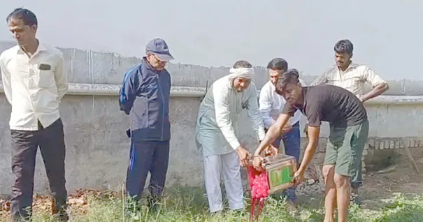 फिरोजाबाद: खाद्य विभाग ने डेढ कुंतल छेना कराया नष्ट