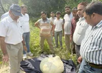 फिरोजाबाद: खाद्य विभाग की टीम ने मिलावटी मिष्ठान, पनीर व खो नष्ट कराया