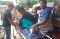 फिरोजाबाद: बंदरों के हमले से महिला छत से गिरी, हालत गंभीर